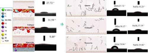 Comparative study on hydration shell structure and wettability characteristics of Quartz, Feldspar, and muscovite surfaces