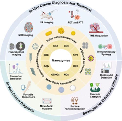 Advancement and Perspective of Nanozyme in Cancer Diagnosis and Treatment Applications