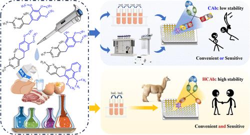 Breaking the Sensitivity-Convenience Trade-off: A Camelid HCAb-Based Immunoassay for Multi-Residue Detection of Antibacterial Synergists in Foods with Minimized Pretreatment