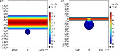 Design, fabrication, and characterization of a microbubble array microphysiological system