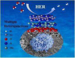 Fe2N-modulated Mo2N/MoO2 multiple heterostructures for optimized electron configuration and reaction dynamics in alkaline hydrogen evolution reaction