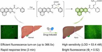 A highly efficient turn-on fluorescent probe for the rapid and sensitive detection of cysteine