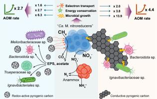 Pyrogenic carbon-stimulated nitrate-dependent anaerobic methane oxidation: insights into redox activity and conductivity in anaerobic methanotrophic archaea metabolism and microbial dynamics