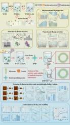 Green modification technology: acylation-glycosylation co-modification of walnut protein and its application in the stabilized encapsulation of lutein