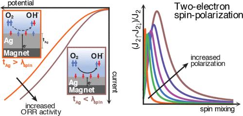 Spin-Polarized Electron Transport Promotes the Oxygen Reduction Reaction