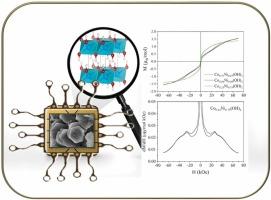 Ferromagnetic and antiferromagnetic interactions in two-dimensional layered β-Co1-xNix(OH)2 (x = 0.25; 0.50; 0.75) double hydroxides