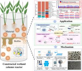 Mechanistic Insights and Application of SS/MS/C/CaO₂ Composite for the Simultaneous Removal of Ammonia Nitrogen and Multiple Antibiotics
