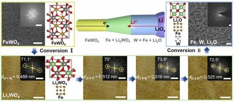 Unraveling the Conversion Reaction Pathways and Kinetics of FeWO4 Anode during Lithiation via In Situ Transmission Electron Microscopy