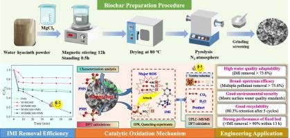 Activation of peroxymonosulfate by magnesium−modified biochar for the degradation of imidacloprid: Effectiveness and mechanisms