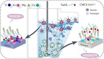 Effects of high-efficiency depressant carboxymethyl chitosan on the flotation separation of fine-grained ilmenite and titanaugite: Experimental investigation and mechanism analysis