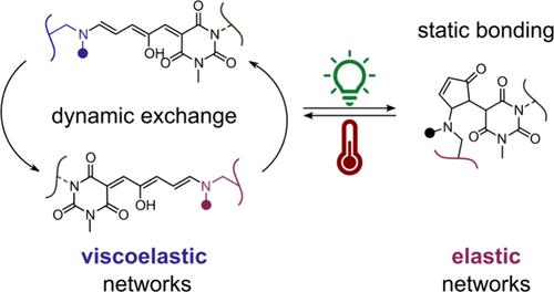Donor–Acceptor Stenhouse Adducts as Intrinsically Photoswitchable Dynamic Covalent Bonds