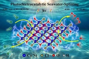 Stability, electronic properties, and synergistic photoelectrocatalytic activity in corrosion-resistant seawater-splitting anodes Co2(OH)3Cl and Ni2(OH)3Cl: constant-potential dynamics via continuum solvation models