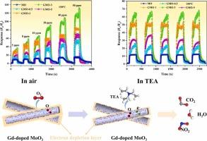 Highly responsive detection of triethylamine gas based on Gd-doped MoO3 nanorod sensors: an experimental and first-principles study