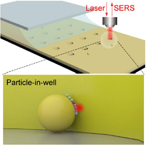 Single-Molecule Monitoring of Nucleic Acid Dynamics Using Raman Correlation Spectroscopy in Plasmonic Nanowells