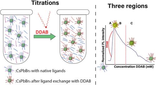 Quantitative Correlation between Ligand Shell Composition and Photoluminescence in CsPbBr3 Nanocrystals with Mixed Didodecyldimethylammonium Bromide and Oleic Acid Ligands