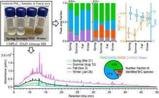 Molecular characteristics of brown carbon aerosols over a forest atmosphere in the Qinling region of central China
