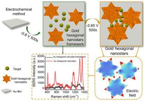 Electrochemical synthesis of ultra-compact gold hexagonal nanostar substrate for enhanced and stable SERS detection