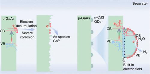 Heterojunction Engineering Significantly Resisting Seawater and Photocorrosion Enable Photoelectrochemical Detectors’ Prolonged Lifespan