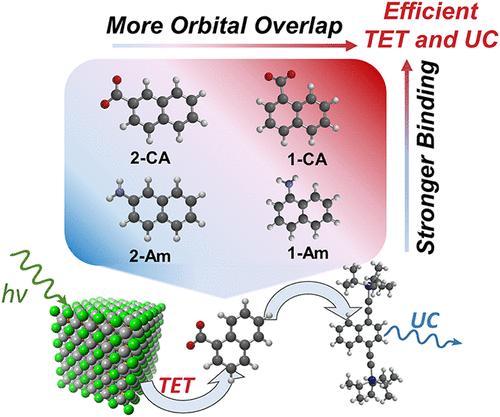 Through-Bond Electronic Coupling and Strong Ligand Binding Facilitate Blue-to-UV Photon Upconversion by CsPbBr3 Quantum Dots