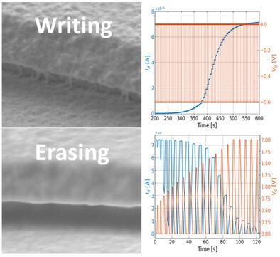 Electropolymerized PEDOT:PSS-Based Memtransistors for Neuromorphic Computing