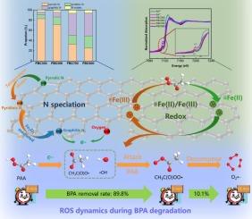 Regulating nitrogen speciation via temperature/Fe2O3 synergy in freshwater sludge for enhanced peracetic acid (PAA) activation and emerging contaminants removal