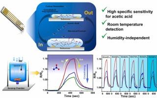 Hierarchically structured PCL/CNT nanocomposites with optimized crosslinking for chemiresistive detection of acetic acid