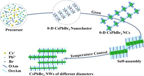 Diameter Control and Optical Properties of CsPbBr3 Nanowires Based on the Oleylamine–Octylamine System