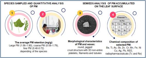 Role of broad- and needle- leaf morphology in capturing particulate matter and emerging pollutants in urban environments