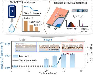 Quantitative and Non-Destructive Analysis of Failure Process of Pouch Lithium Metal Batteries