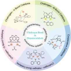 Chalcogen bond in organocatalysis: bonding characteristics, catalytic mechanisms, and catalyst design