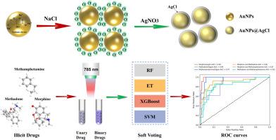 Molecular enrichment integrated with soft voting for efficient SERS detection of multiple drugs
