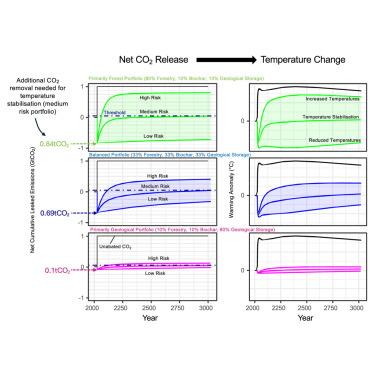 Carbon storage portfolios for the transition to net zero