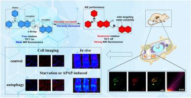 Synthesis and characterization of Coumarin-Quinoline based NIR Probes for Viscosity: Mitochondria-Targeted Probe with Superior Performance in Autophagy and Liver Injury Imaging