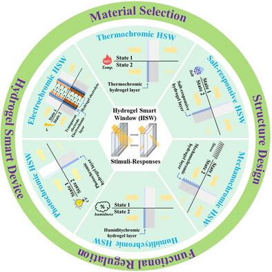 Hydrogel Smart Windows: Working Mechanisms, Recent Developments, and Perspectives
