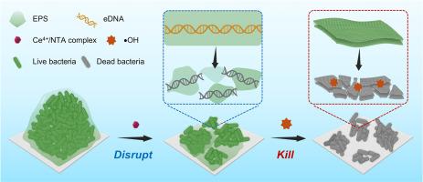 Engineered multifunctional nanoplatform with DNase-mimetic activity and self-supplying H2O2 capability for enhanced chemodynamic biofilm eradication