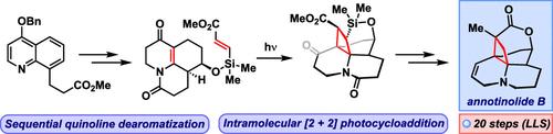 Total Synthesis of Annotinolide B via Sequential Quinoline Dearomatization