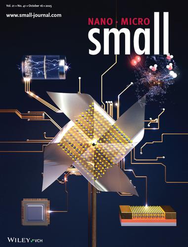 Rhombohedral 3R MoS2 Polytype: A Promising Fundamental Material for Next-Generation Device Applications (Small 41/2025)