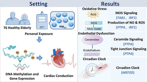 Molecular Atlas of PM2.5 Chemical Constituents on Cardiac Conduction: A Multiomics Landscape in Older Adults