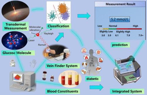 Noninvasive Blood Glucose Monitoring via Vein Visualization-Guided Confocal Raman Spectroscopy and Heterogeneous Ensemble Learning