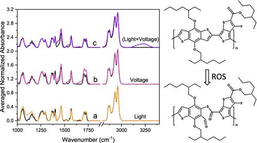 Voltage-Induced Degradation of PTB7 with Atmospheric Exposure and the Contributions of Simultaneous Exposure to Light