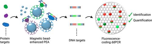 Fluorescence-Coded, Magnetic Bead-Enhanced Digital Proximity Extension Assay for Ultrasensitive, Multiplexed, and Accessible Protein Detection
