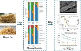Evolution of microbial communities in biomass stacks during the self-heating process and their influence on fuel properties