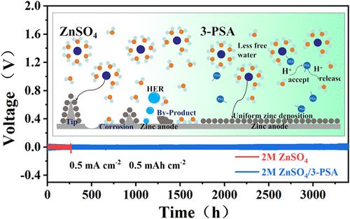 Synergistic Design of Long-Life Aqueous Zinc Batteries Through Solvation Sheath Reconstruction and Hydrogen-Bond Network Regulation by 3-Pyridinesulfonic Acid