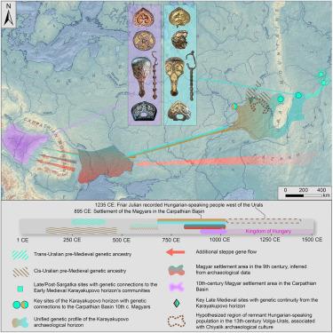Long shared haplotypes identify the southern Urals as a primary source for the 10th-century Hungarians