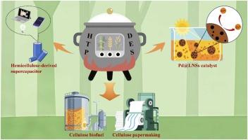 Fabrication of hemicellulose-derived supercapacitor and Pd@lignin nanosphere catalyst by targeted lignocellulose fractionation