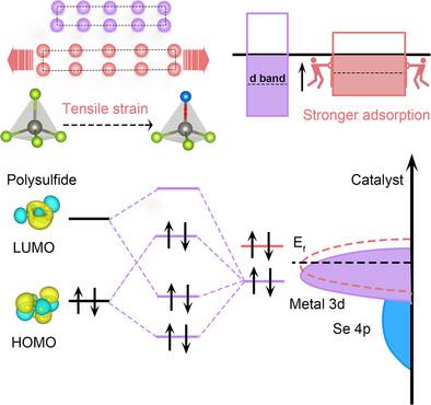 Activating Inert Metallic Zinc for Bifunctional Sulfur Reaction Catalysis Through Anion‐Controlled Tensile Lattice Strain