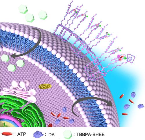 A Tandem Cubic DNA Nanostructures Cell Membrane Surface Sensing Platform for In Situ Monitoring of Multiple Cytotoxicity-Related Biomarkers