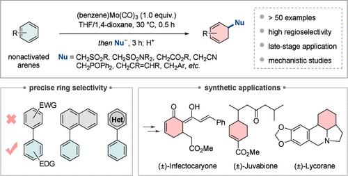 Temporary Molybdenum η6-Coordination Enables Selective and General Dearomative 1,2-Hydrofunctionalization of Benzenes