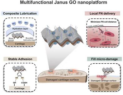 Janus Graphene Oxide Nanoplatform with Oppositely Functionalized Adhesion and Lubrication Enables Local Sustained Fenofibrate Release to Synergistically Halt Osteoarthritis