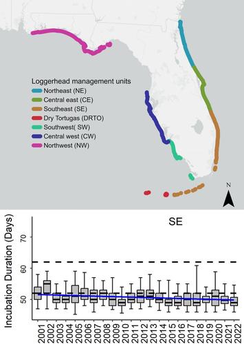 Long-Term Incubation Duration Decline Indicates Climate-Change Driven Feminization of Three Sea Turtle Species in Florida, USA